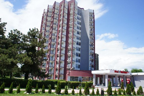 Vulturul